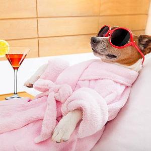 Honeymoon Spa Day