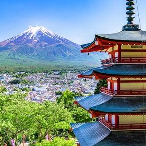 Trip Excursions