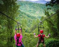 Carolina Ziplines Canopy Tour