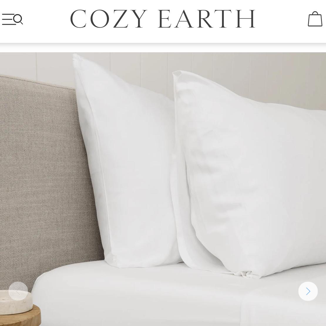 Cozy Earth Bamboo Pillowcases