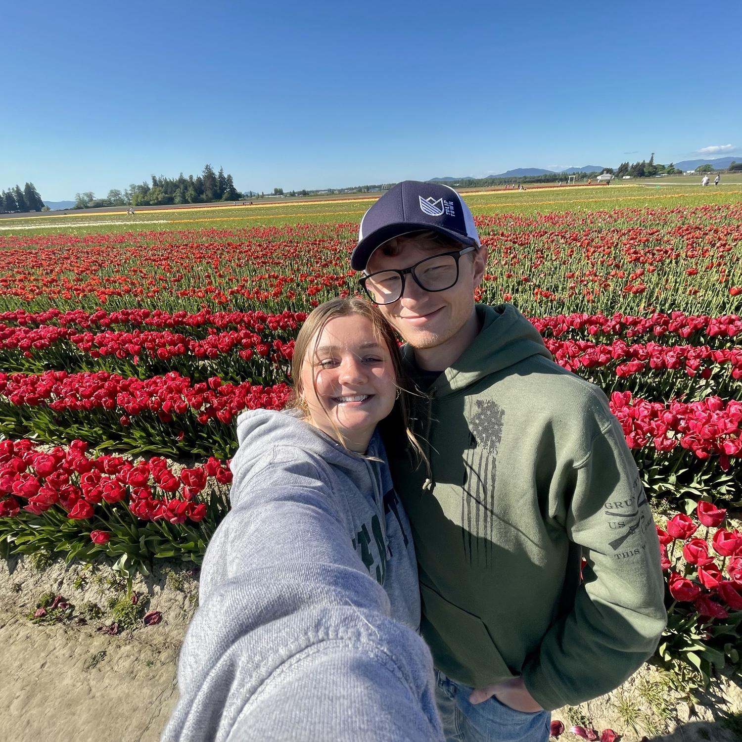 Tulips 💐