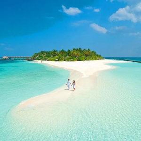 Honeymoon Fund (Venmo)