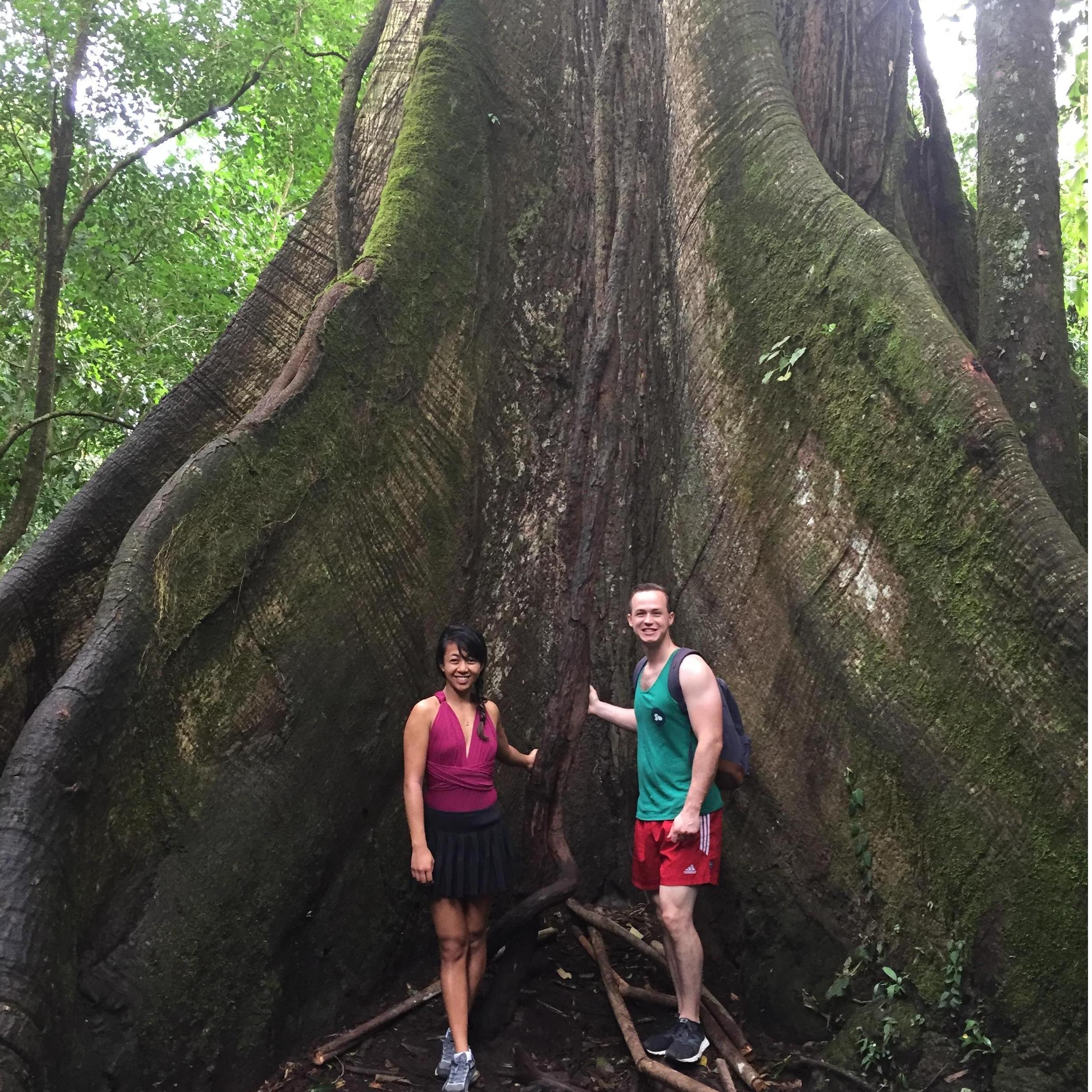 Costa Rica is a dream destination. Alexandra and I found this tree in the jungle that is several hundred years old.