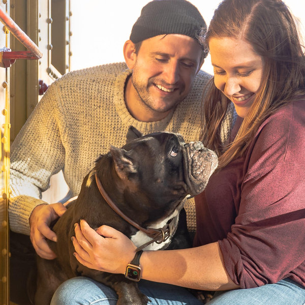 In Piggie's Honor - Donation to Front Street Animal Shelter