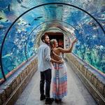 Shark Reef Aquarium at Mandalay Bay