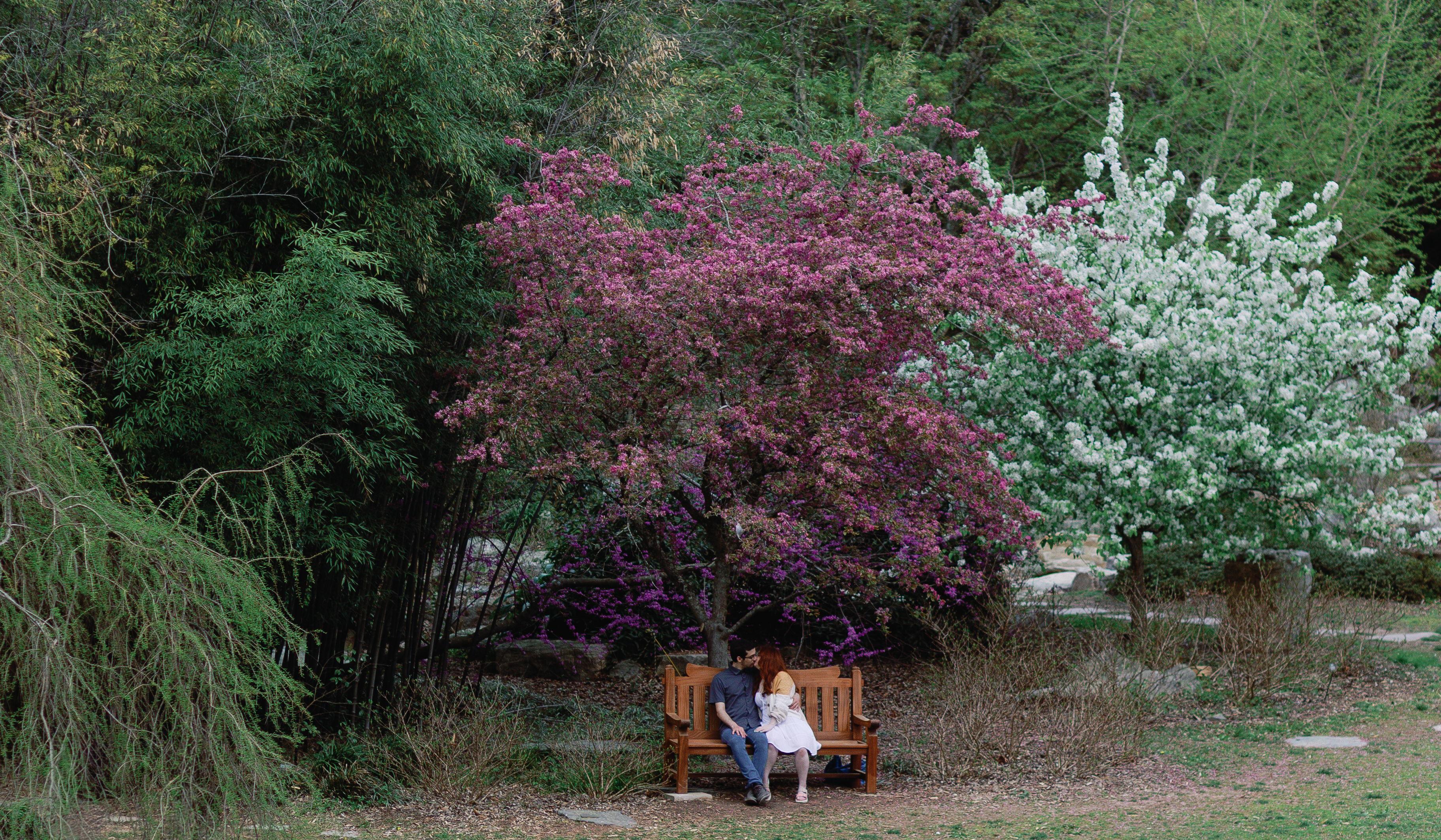 Hero Slideshow Image 0