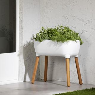 Dalya Raised Planter