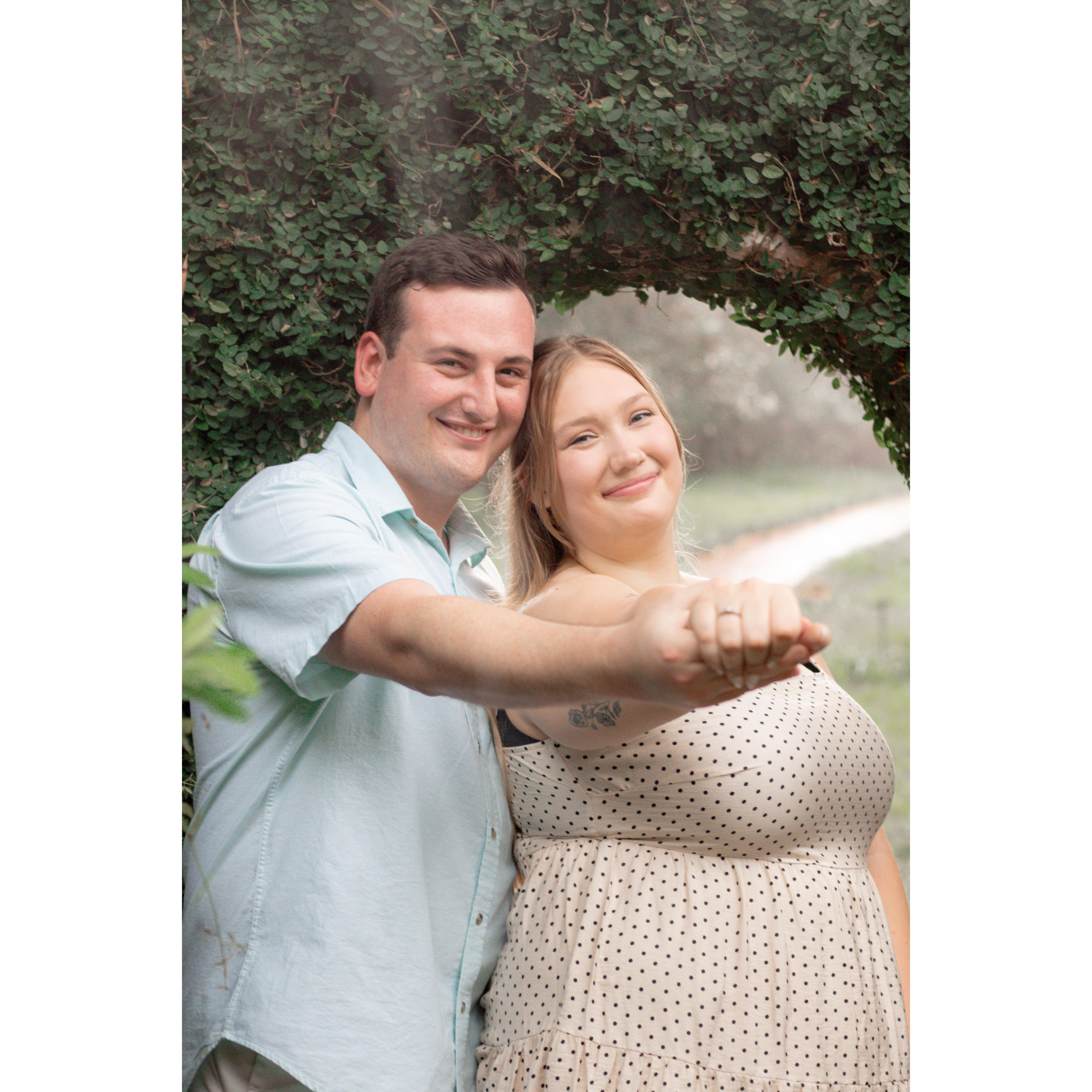 Engagement Photos taken at Maclay Gardens