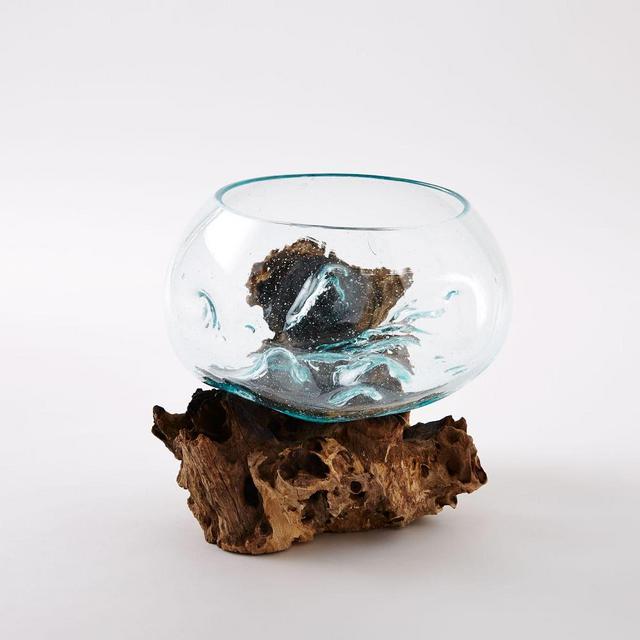 Wood + Glass Terrarium, Medium
