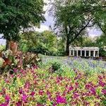 Mt Vernon Gardens