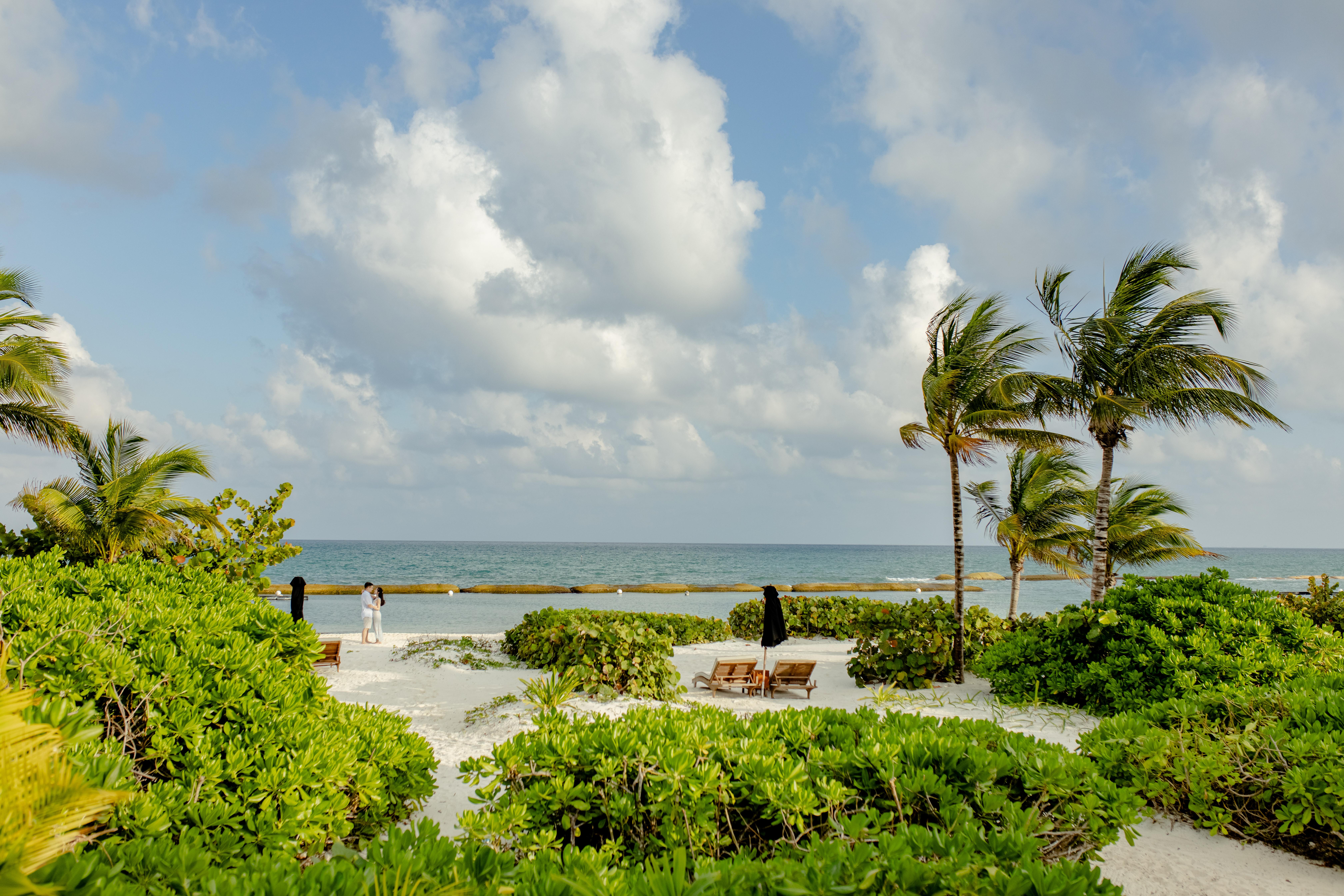 The Wedding Website of Eileen Xu and Ted An