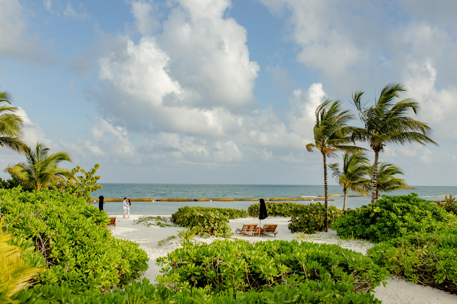The Wedding Website of Eileen Xu and Ted An