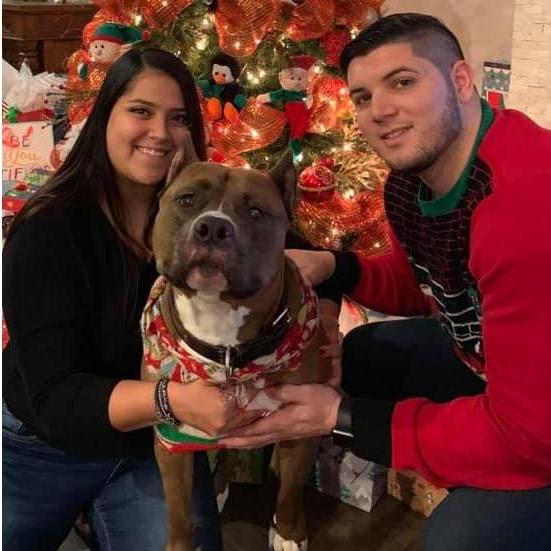 Christmas 2018