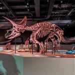 Houston Museum of Natural Science