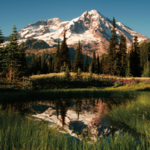 Mount Rainier National Park