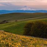 Columbia Hills Historical State Park