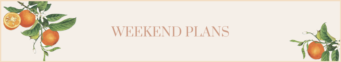 The Wedding Website of Alice Cannon and Brian Steele