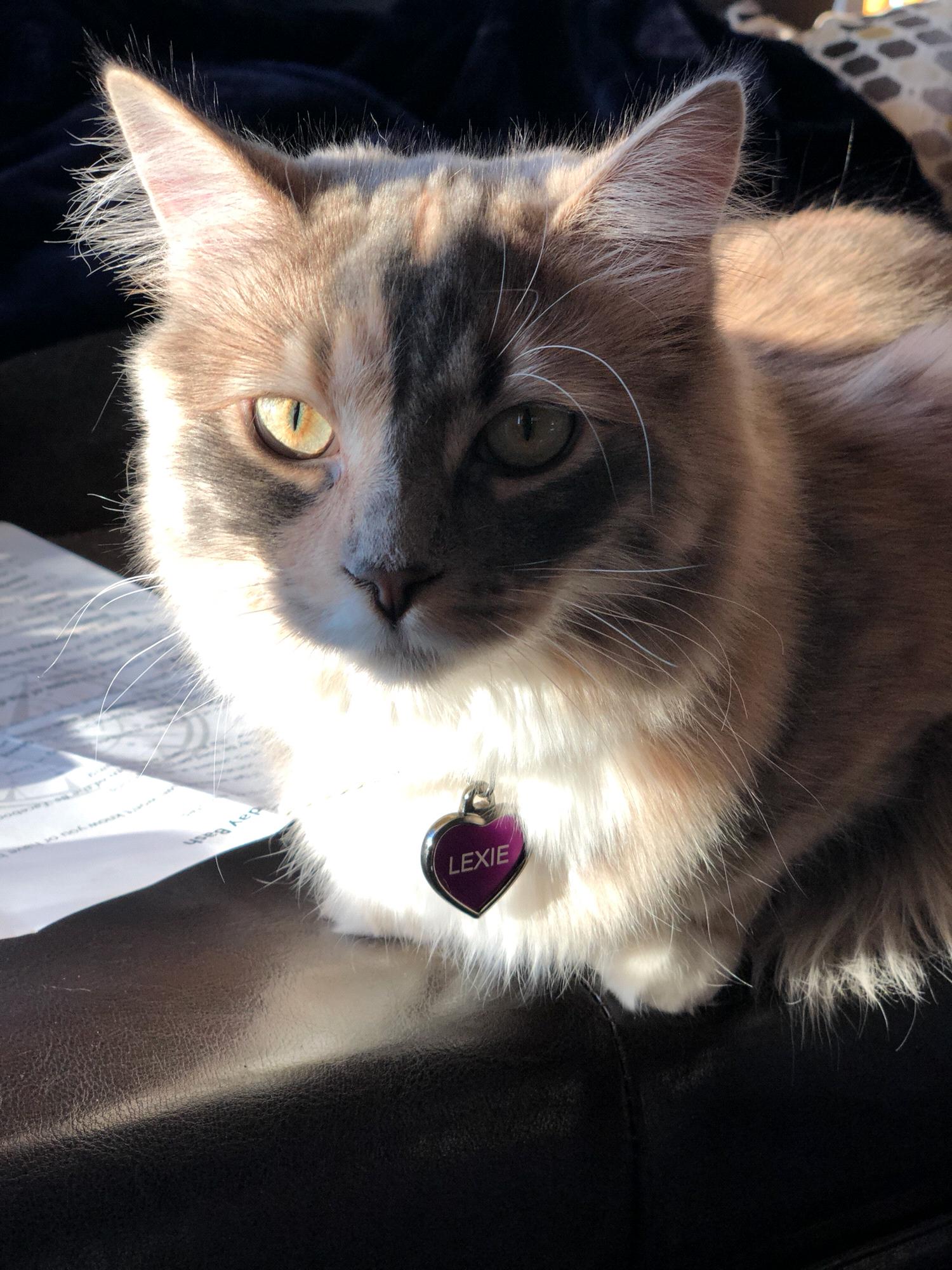 Our Lexie Lou