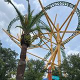 Busch Gardens Tampa Bay