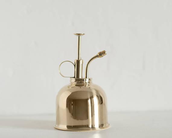 Brass Air Plant Mister - Air Plant Sprayer - Air Plant Tillandsia Care - Houseplants Watering Can - Modern Decor - Minimalist Sprayer - Gift