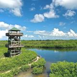 Robinson Preserve