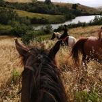 Horseback Riding