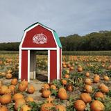 Fink’s Country Farm