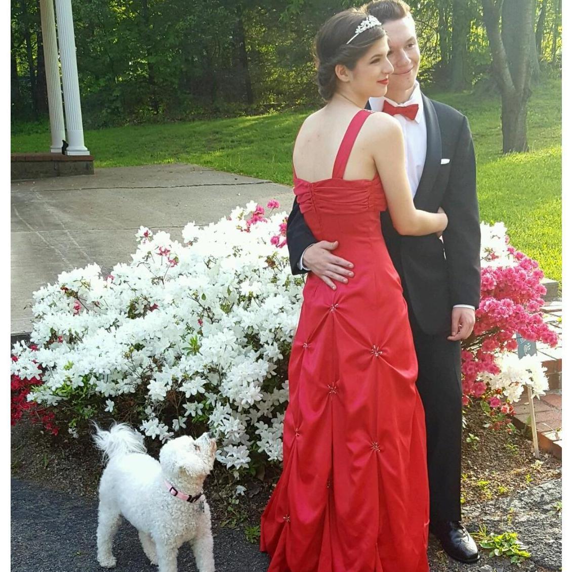 Pixie's approval of our Prom photos