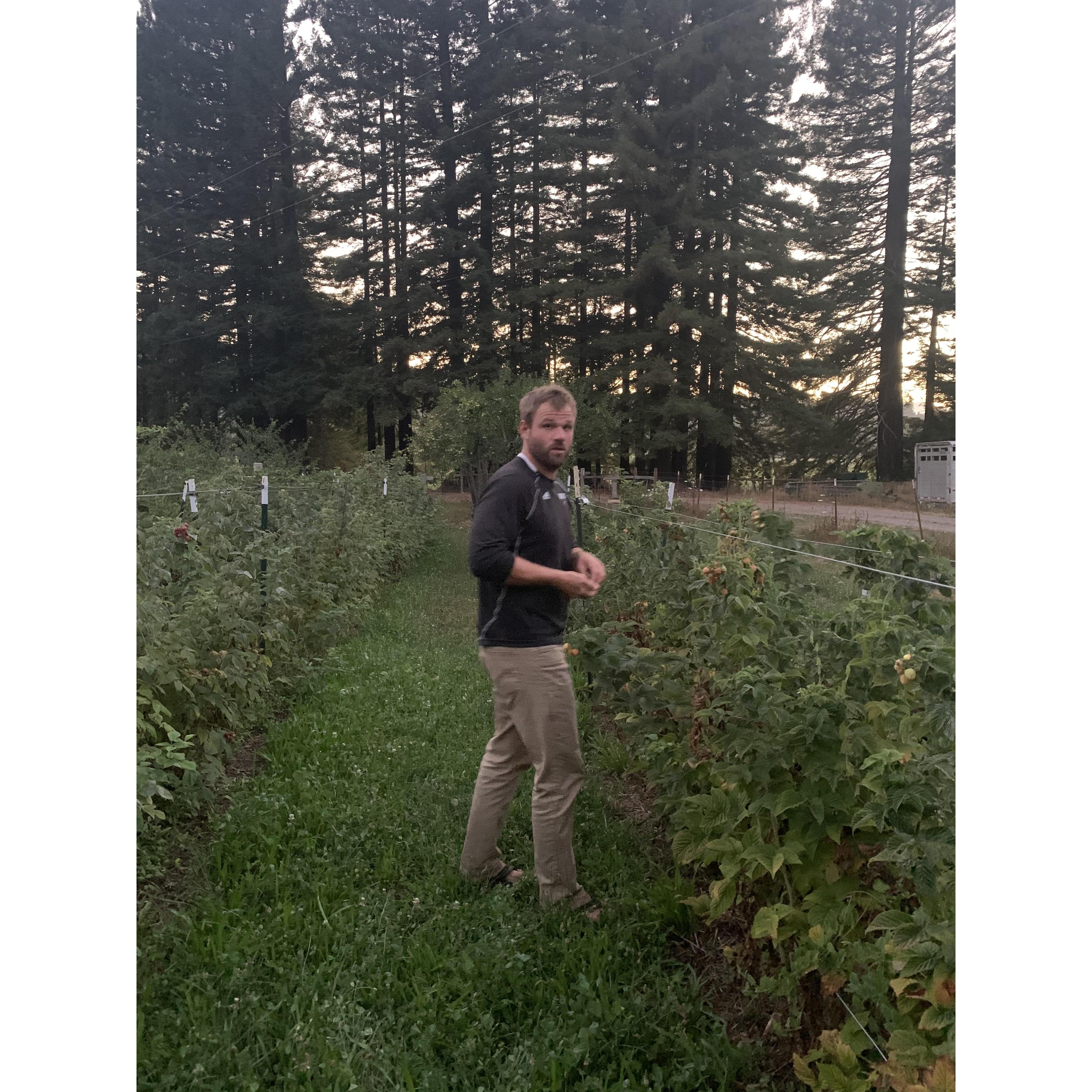 Silas in his natural habitat
