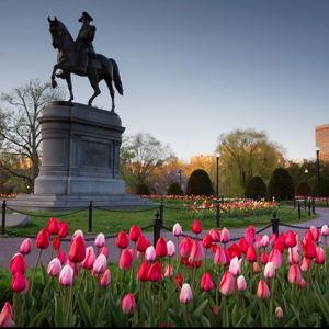 Boston Freedom Trail Tour