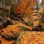 Purgatory Chasm