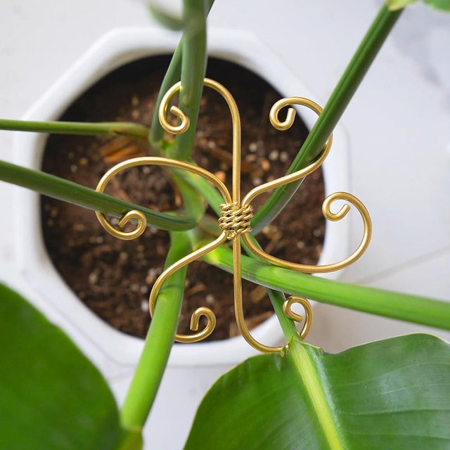 Mirthdino 5PCS Plant Stem Support - Durable 5pcs Iron Grapple Holder for Monstera & Climbing Plants, Unique Design for Optimal Growth, Bamboo Clamp Set for Leaf Stabilization and Support (Gold)