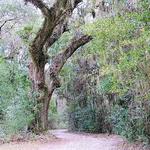 Village Point Park Preserve