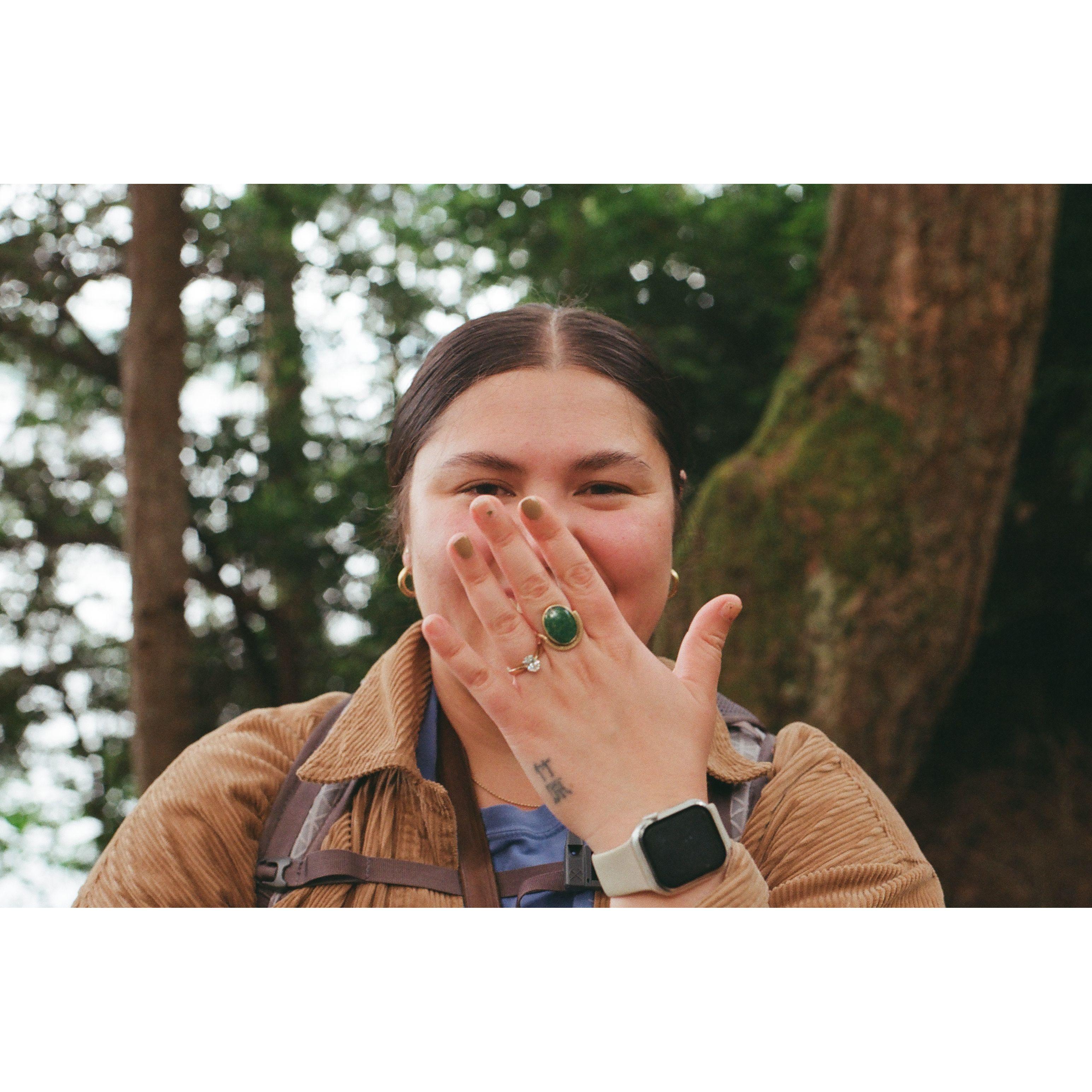 The proposal at Point Defiance Park - 6/13/24