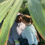 Mitchell Park Domes Horticulture Conservatory