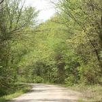 Katy Trail State Park