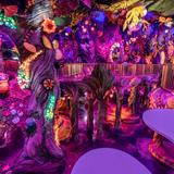 Meow Wolf Denver's Convergence Station