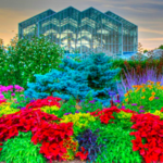 Frederik Meijer Gardens & Sculpture Park