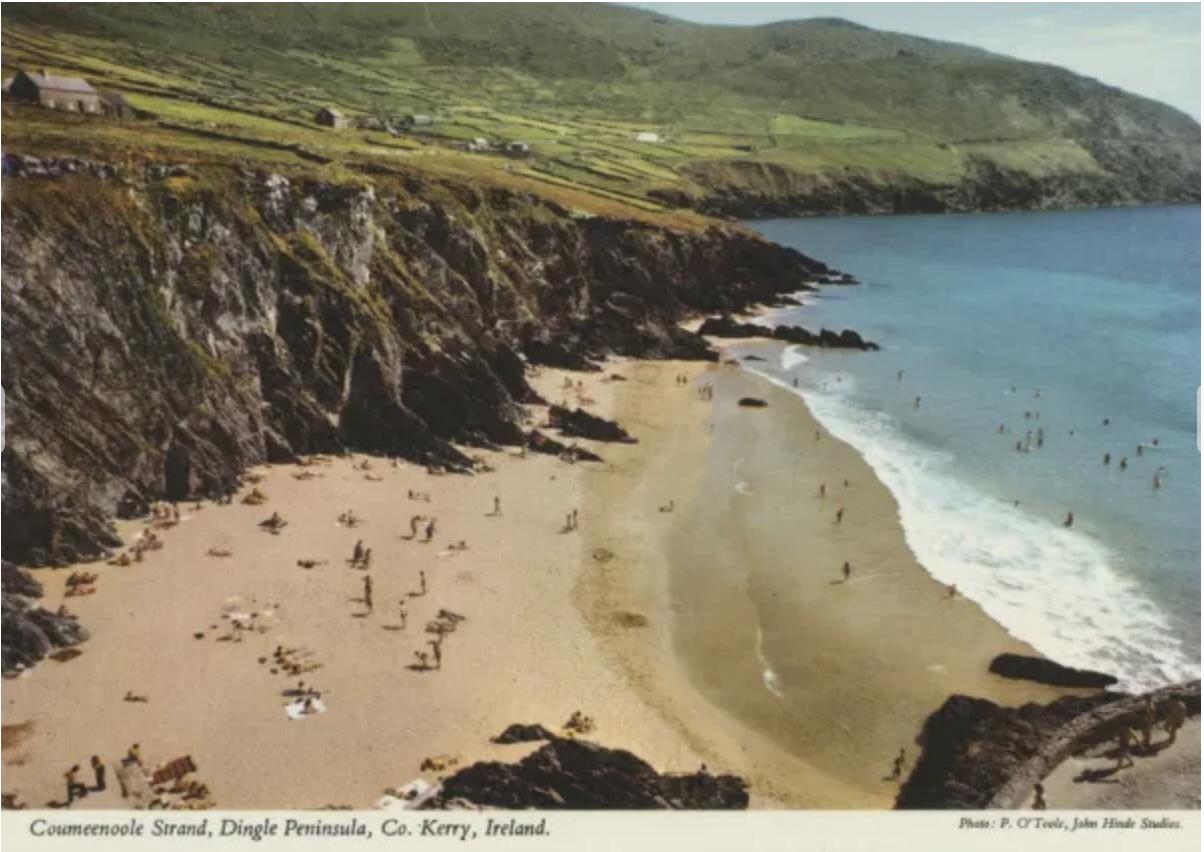 The Wedding Website of Abigail Chalmers and Pierre O'Driscoll