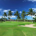 Go Golfing