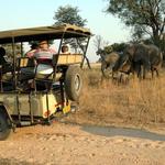 Chaminuka Lodge & Nature Reserve