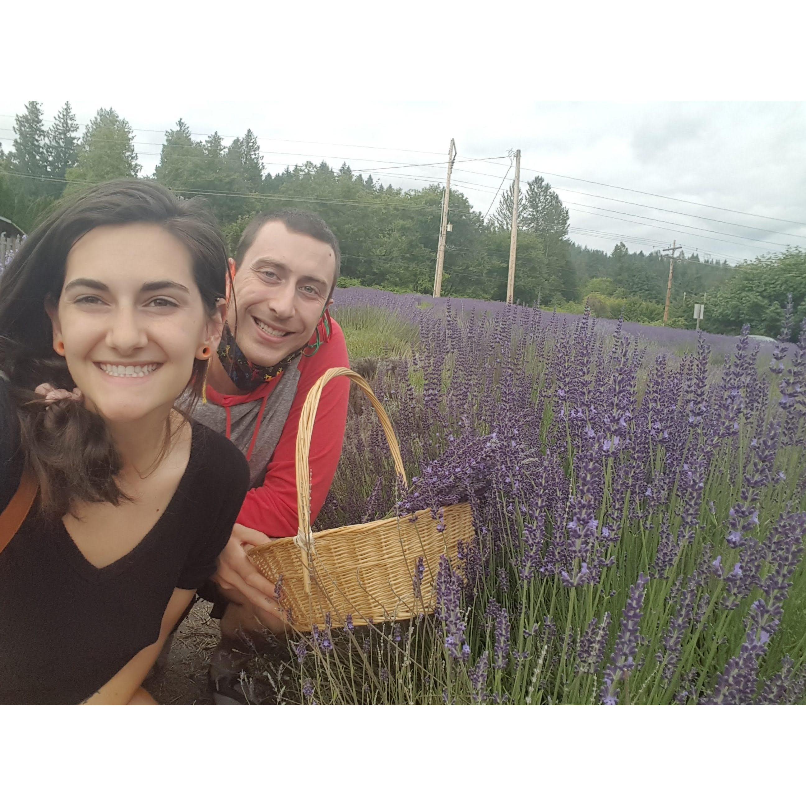 Summer 2020 in Fall City, WA
Lavender farm like 5mins down the road from our house... during bike rides past it the smell is so wonderful....