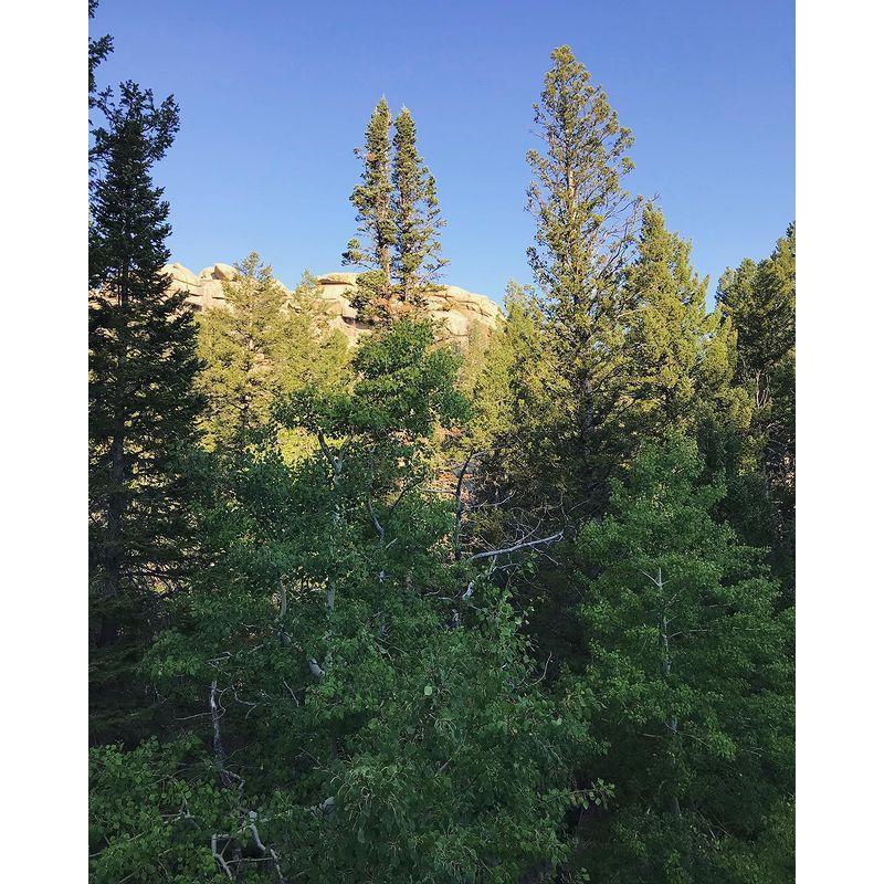 The view from our favorite spot in Vedauwoo.