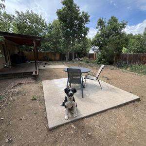 Backyard remodel fund