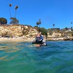 Snorkel @ Diver's Cove