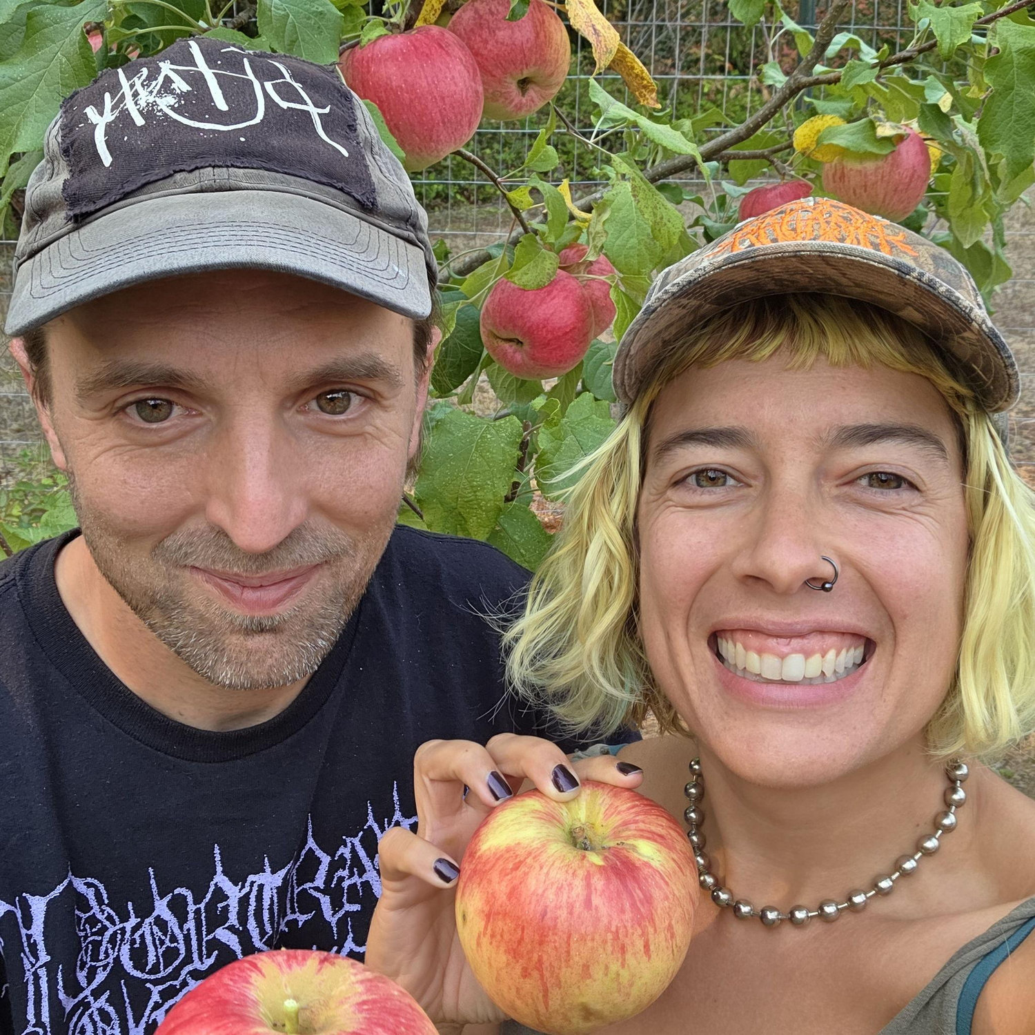 our first honeycrisp haul; 2025