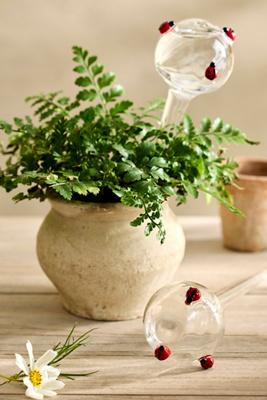 Ladybug Glass Watering Globes, Set of 2