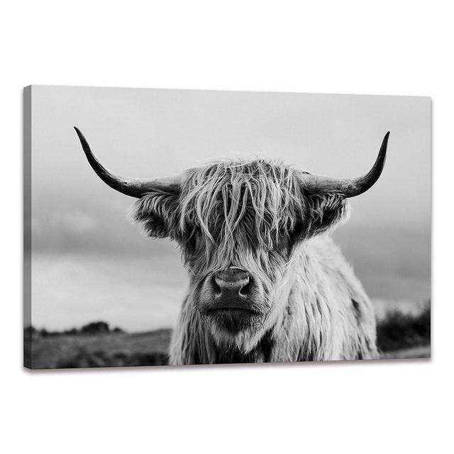 Highland Cow Wall Art Canvas Printings Black and White Animal Canvas Picture Framed Art Wall Decor Framed for Bedroom Bathroom (16x24 inch)