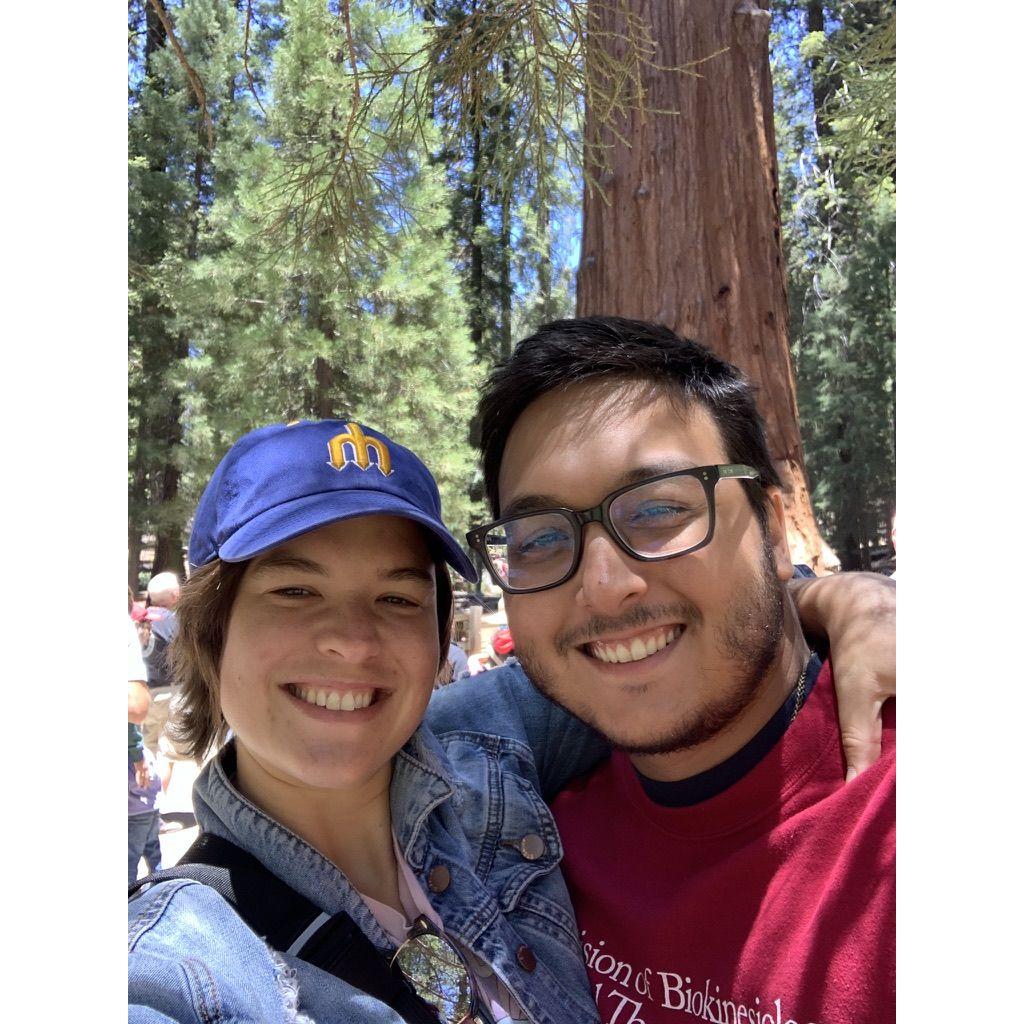 Sequoia Park, CA, 2022.