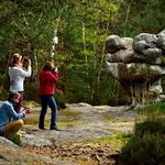 Forêt de Fontainebleau